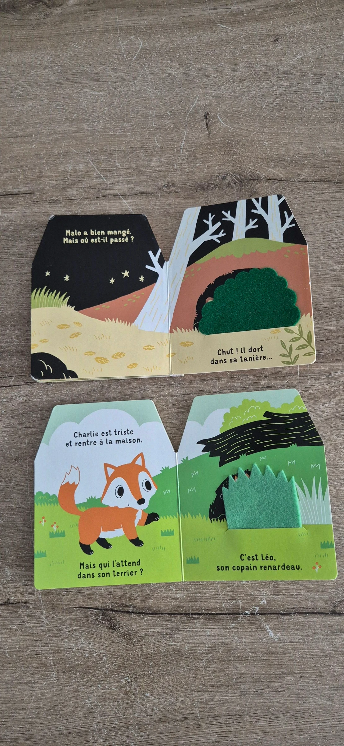 Lot de livros Cache-cache em feltro – photo 11